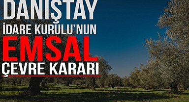 'Ortak hareket edemezsiniz' kararı kalktı