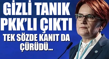 Meral Akşener'e açılan FETÖ soruşturmasında yeni bilgiler...