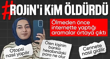 Van'da cansız bedeni bulunan Rojin'in internette yaptığı aramalar