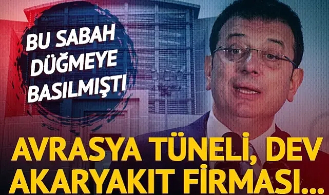 Avrasya Tüneli'nin işletmecilerinden dev akaryakıt firması sahibine... İBB'ye 4. dalga operasyonda dikkat çeken isimler
