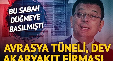 Avrasya Tüneli'nin işletmecilerinden dev akaryakıt firması sahibine... İBB'ye 4. dalga operasyonda dikkat çeken isimler