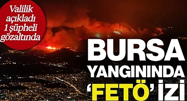 Valilik Açıkladı! Bursa'daki Orman Yangınlarında 1 Gözaltı, Dikkat Çeken 'FETÖ' Detayı...