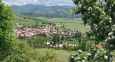 Altın madeni davasında yargıdan çelişkili karar
