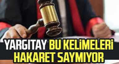 İşte Yargıtay'a göre hakaret sayılmayan kelimeler!